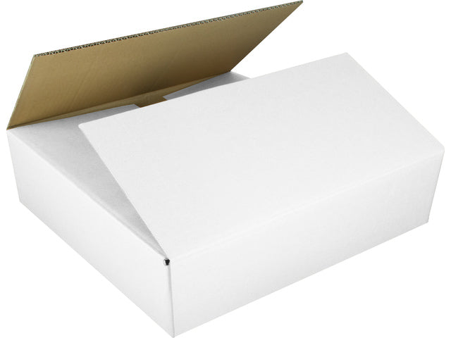 Verzenddoos Raadhuis 560x540x100mm EB-Golf mit