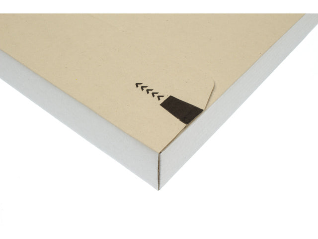 Brievenbusdoos Raadhuis mit EG 255x160x28mm Klemme und 25 Stück