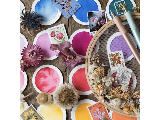 Kalligrafie Vulpen Schneider Callissima Abrikoos 1,1mm