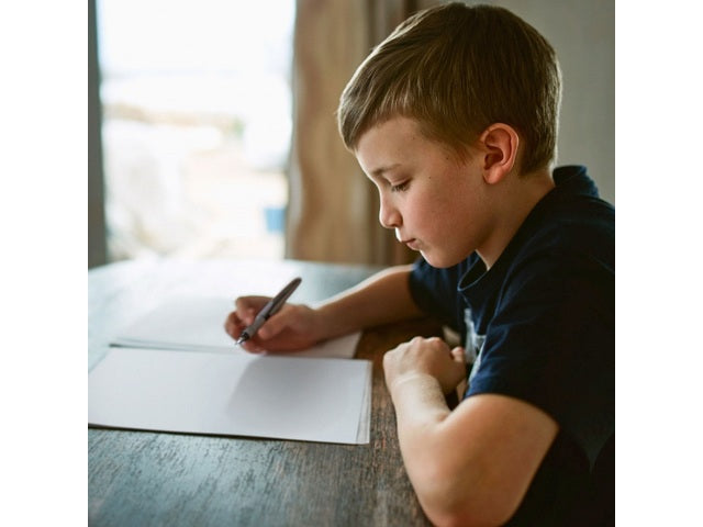 Vulpen Schneider Ray L Onyx