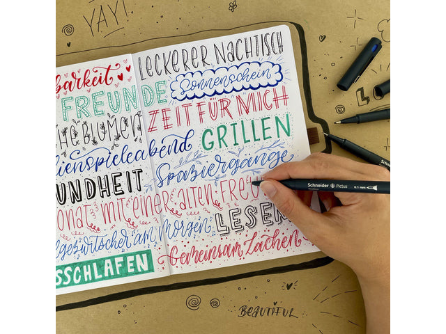 Fineliner Schneider Pictus 0,05 zwart