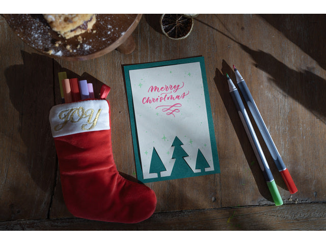 Penseelpen Schneider Paint-it 070 8+2 ass. kartonnen etui