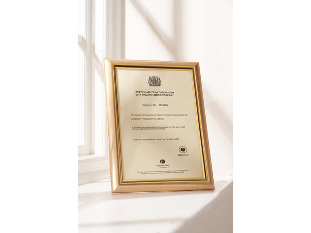 Fotolijst Seco A4 goud plexiglas