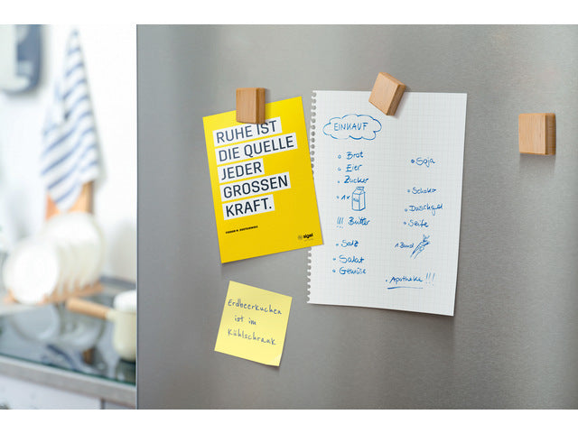 Magneten Sigel vierkant 4 stuk