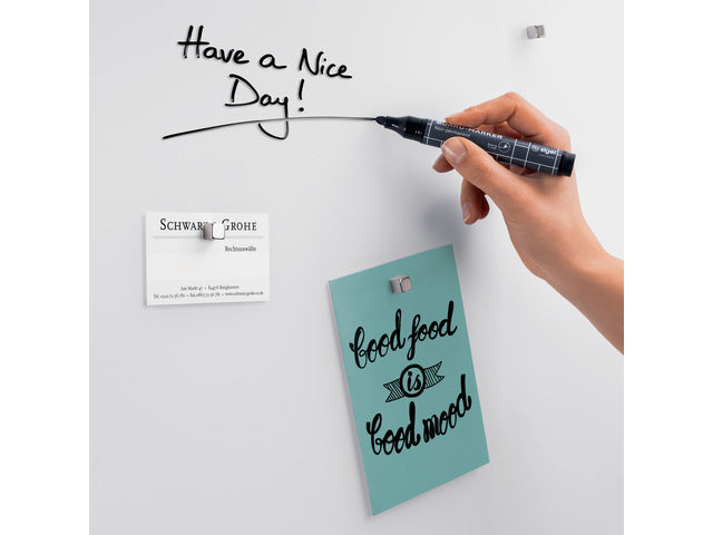 Glasmagneetbord Sigel mat LITTLE BIRDS 600x400x15mm 3 magn + bevestigingsmat.