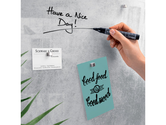 Glas-magneetbord Sigel Artverum Botanic 910x460x15mm