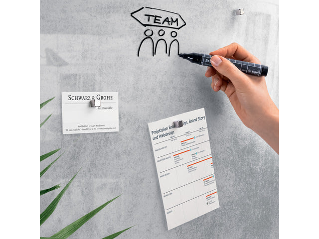 Glas-magneetbord Sigel Artverum Botanic. 1300x550x18mm