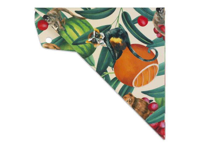 Geocover Aristo incl. geodriehoek 16cm Tropic Life