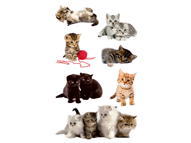 papieretiket Z-design Kinderpakje a 3 vel katten foto