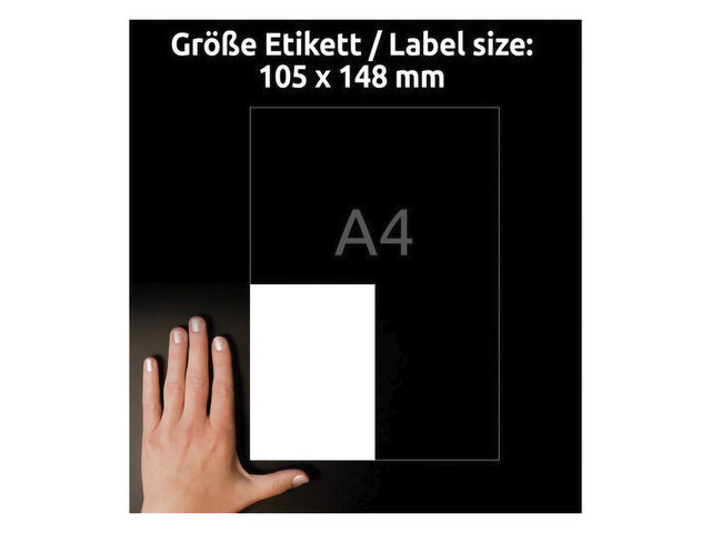 Etikett Avery, selbstklebend, 105 x 148 mm, mit permanentem 20-lagigem Etikett, 4 Etiketten pro Etikett