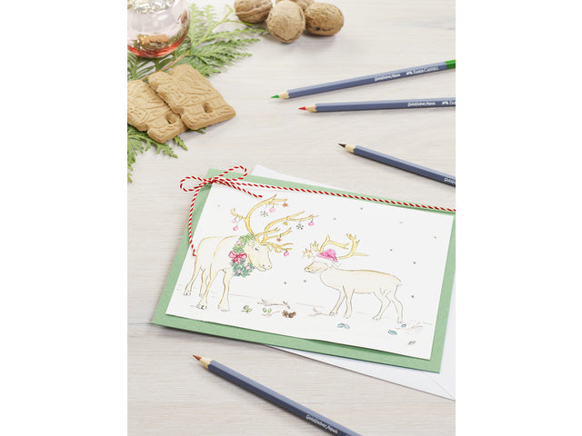 Aquarellstifte Faber-Castell Goldfaber Studiobox á 38+3 Stück