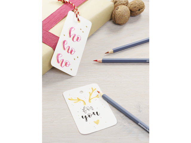 Aquarelkleurpotlood Faber-Castell Goldfaber Etui 36 Stück