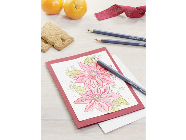 Aquarelkleur Potlood Faber-Castell Goldfaber Etui 48 Stück