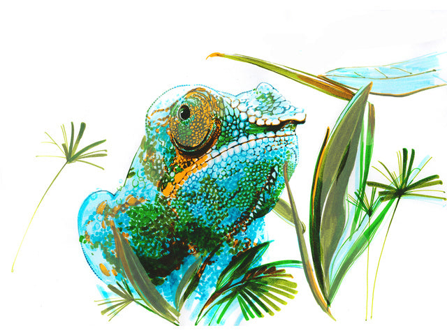 Tekenstift Faber-Castell Pitt Artist duo marker Animals etui 5pcs color nrs: 109,112,148,154,170