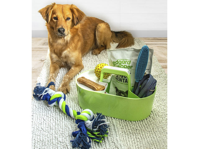 Toolbox Loft Han mobiele organizer lime groen 4 vakken met uitneembaar plateau lime groen