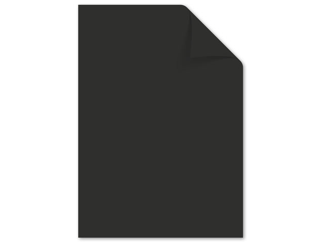 Papier Kangaro A4 120 gram pak à 100 vel (10x10) assorti