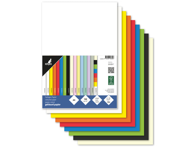 Papier Kangaro A4 120 gram pak à 100 vel (10x10) assorti