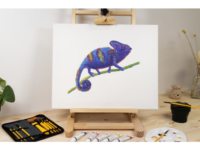 Penselen Kangaro acrylverfset van 10 stuks in etui
