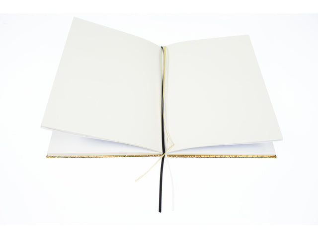Dummyboek Pure Croco A5 HC pak a 3 stuks assorti