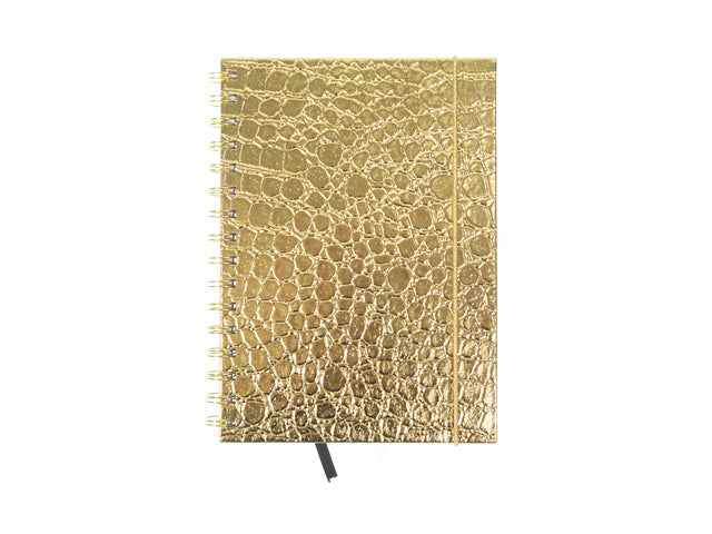 Spiraalboek Pure Croco A5 lijn HC pak a 3 stuks assorti