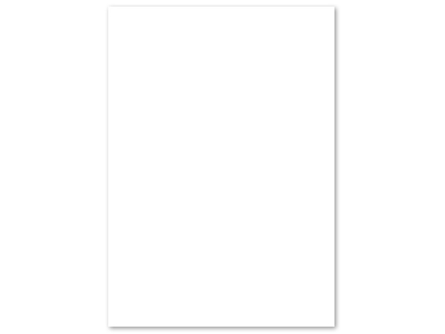 PaperWise Kopierpapier A4 mit 75 Gramm Karton und 5 x 500 Vel