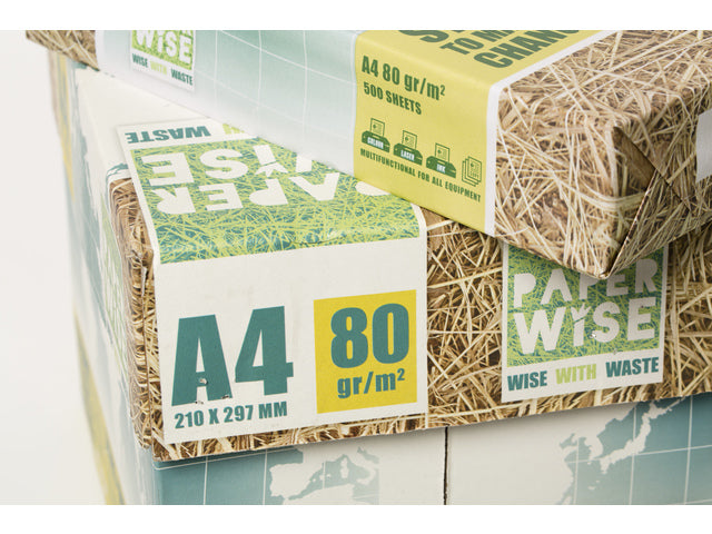 PaperWise kopieerpapier A4 wit 80 grams doos à 5 pak