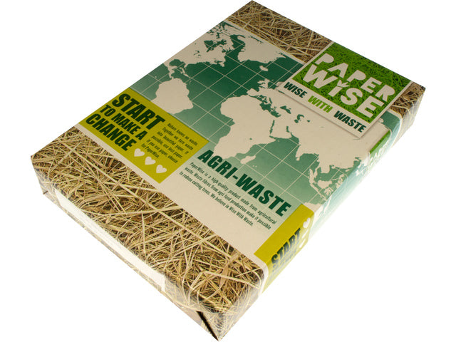 PaperWise kopieerpapier A4 wit 80 grams pak à 500 vel
