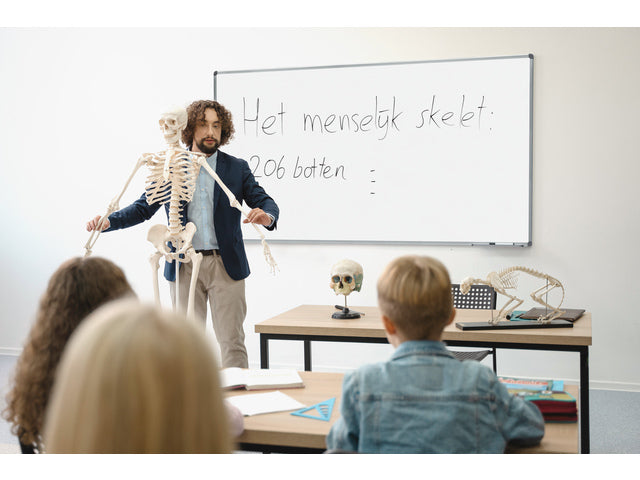 Whiteboard Rocada 100x200cm gelakt staal met magnetisch
