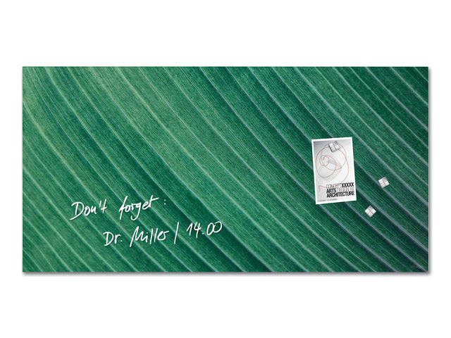 Glasmagneetbord Sigel mat PALM LEAFS 910x460x15mm 3 magn + bevestigingsmateriaal