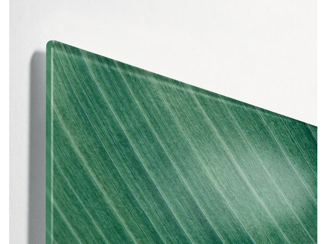 Glasmagneetbord Sigel mat PALM LEAFS 910x460x15mm 3 magn + bevestigingsmateriaal